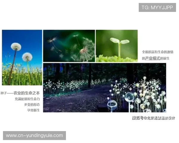 云鼎娱乐多渠道推广策略解析助力品牌快速扩大影响力实现市场突破