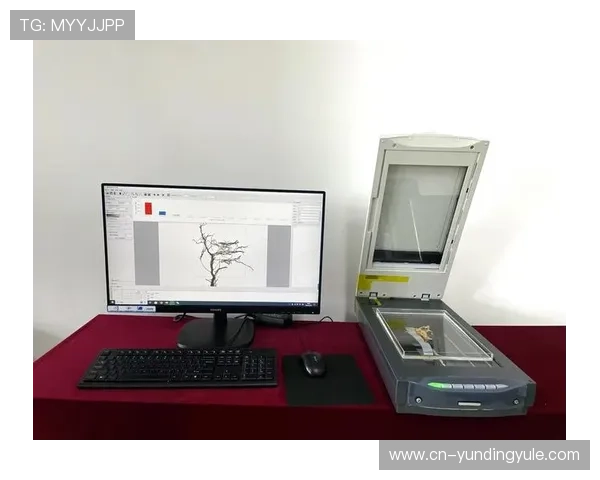 探索yd云顶集团官网的创新产品与服务满足不同用户的多样化需求